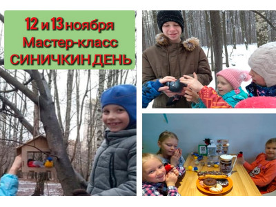 12 Ноября маленький праздник по календарю - СИНИЧКИН ДЕНЬ